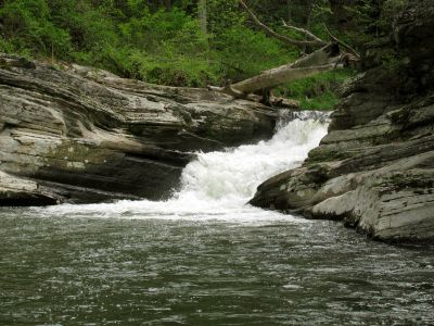 Splash Dam Falls
Located on the Elk River 
Photo by RAT 
Spring, 2010
