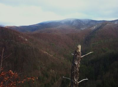 View From Longarm Ridge
The 'Volcano', the 'Pyramid', part of Sill Branch and the snow-topped 'Meat-grinder' Ridge,
1-1-2010
