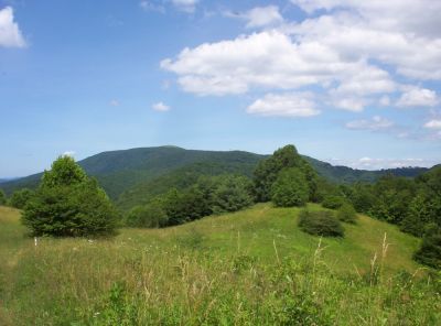 View of Big Bald
from meadow,
July 2009
