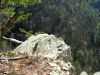 (466)_edge_of_cliff_overlooking_Sill_Branch_(MHR_s),_3-19-10.jpg