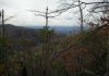 1257,_View_from_Middle_Spring_Ridge_Trail,_12-3-2011.jpg