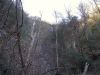 7098,_1st_glimpse_of_falls,_Buckeye_Falls_Trail,_2-26-11.jpg