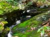 P-1130383rszd___Cascades_Upper_Wilderness_Falls___2-25-2017.jpg