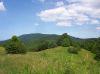 view_of_Big_Bald_Mnt_from_south_on_AT,_July_2009.jpg