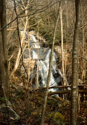 Lower Higgins Creek Falls
photo by Rat

