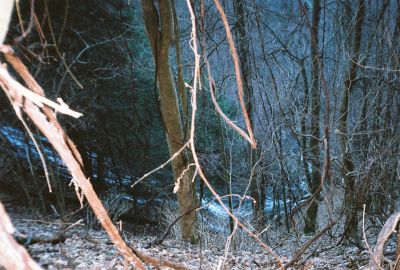 Chigger Branch Falls 
aka 'Delsatch Falls'...85'

