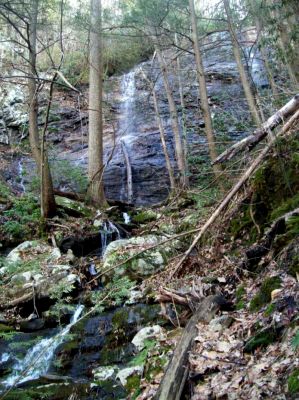 Wilderness Falls
Tallest (about 100') of the 'Wilderness Branch' falls in the Sampson Wilderness
