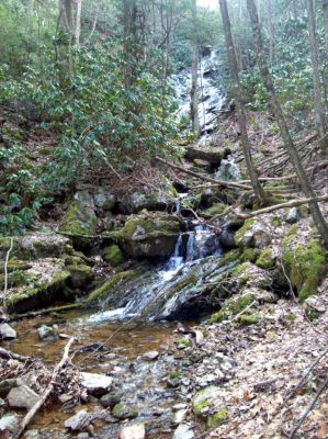 Upper Longarm Branch Falls
standing at bottom of upper longarm branch falls 
