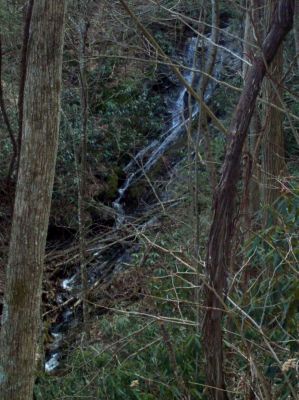 Upper Longarm Branch Falls
looking from above
