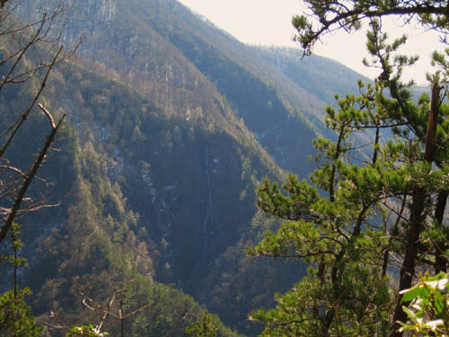 View of Buckeye Falls from Chigger Ridge