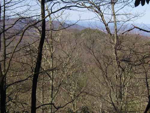 View of Buzzard Roost Ridge