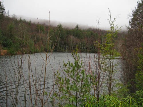 Pond above Rocky Fork
