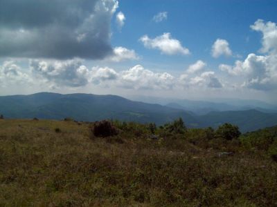 Whitetop Mountain
some of the view...
9-09
