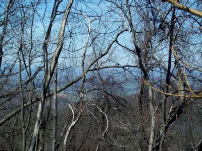 Meatgrinder Ridge
Rough Trails--Getting some serious elevation now.  View of the Green Valley (towards Greenville) TN.

