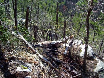 Sill Branch Overlook Trail
The 'trail' down to the rocks
