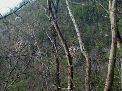 Sill Branch Overlook
Zoom photo from the Middle Ridge.
Photo by Rat
