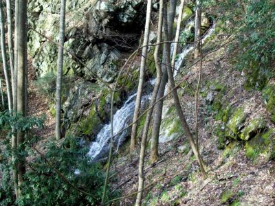 Upper North Fork Sill Br Falls 
Upper Falls Sill Br.
