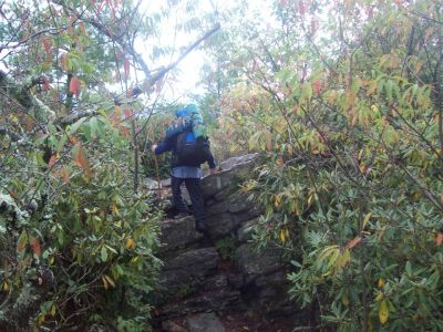 Fire-Scald Ridge Trail
rock climb
