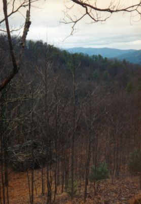 Old Homestead at Mill Creek
Taken by RAT 
