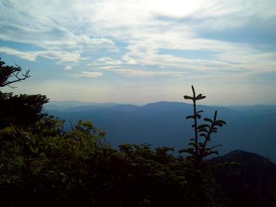 View from Sunset Rock
On Roan Mountain,
 6-24-09

