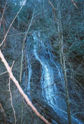 Chigger Brach Falls
aka 'Delsatch' Falls
  March - 2009
