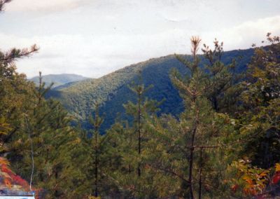 View of Clarks Creek
Taken from Sampson Mtn
