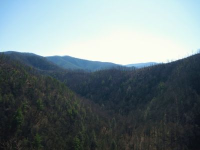 Sill Branch Overlook
View towards Rich Mountain,
3-19-10
