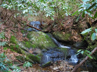 Small Cascades
..along the 'Embreeville' trail,
3-19-10
