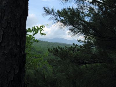 View of Grandfather Mountain
...from South Harper Creek (NC).
6-5-2015
