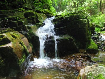 Cascades
Spruce Thicket Trail, 
8-2011

