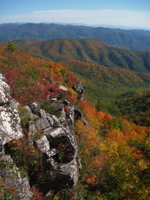 View From White Rocks Cliff, NC
October, 2011
