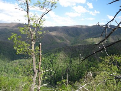 View from Sampson Mountain
The Devil's Fork Valley.
April, 2010
