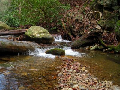 Cascades on Squibb Creek
Squibb Creek Trail.
12-3-2011
