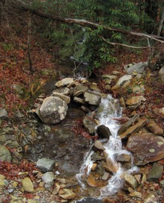 Trail To Devils Creek
Creek from No Business Knob coming down to join the Nolichucky River, December, 10, 2011 
