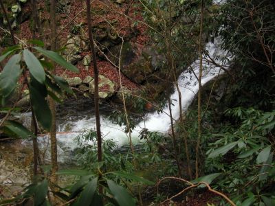 Devils Creek Falls
Lower Falls,
December, 10, 2011
