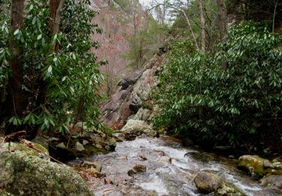 Devils Creek Falls
Cliffs above Devils Creek Falls,
December, 10, 2011
