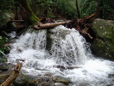 Cascades
Middle Spring Ridge Trail,
December 17, 2011

