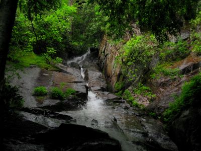 Coon Den Falls
Dennis Cove...
