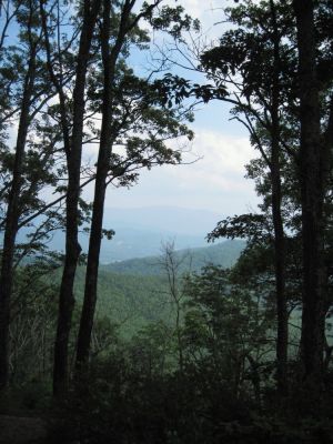 Buffalo Mountain Summit
View of Unaka Mountain to the South.
June, 2010
