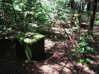 Remnants of the Old Fire Tower
On the Roan High Knob
(before satellites)
July, 2010
