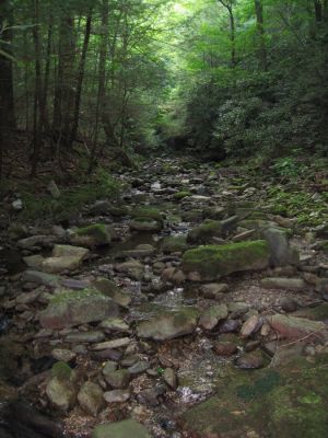 Clarks Creek
nearly dry--mostly rocks.
August, 2010
