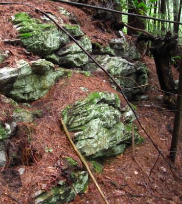 Rocky Place
...Near Devils Creek Gap.
August, 2010
