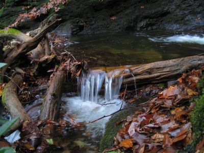 Pool at the base of Upper Slot Canyon Falls

11-21-2015
