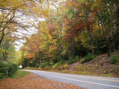 Spivey Gap
Autumn Colors at the gap.

October, 2010
