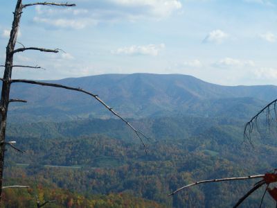 View From Whitehouse Mountain
Big Bald Mountain...
(the Appalachian Trail follows the ridge-crest)
Rocky Fork, October, 2010
