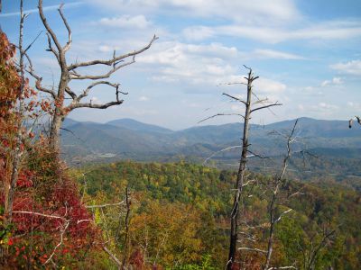 View From Whitehouse Mountain
Spivey Gap in center of photo, Flattop Mountain to the left, Little Bald Mountain to the right...
Rocky Fork, October, 2010
