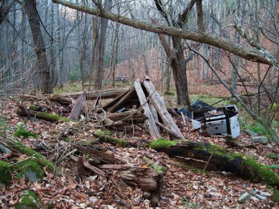 Sugarloaf Branch
Remnants of old homestead along the Appalachian Trail,
November, 2010
