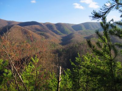 View From Longarm Ridge
The Big Pine Ridges and the Devil's Fork Valleys...
November, 2010
