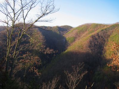 View From Longarm Ridge
Sampson Mountain...one of the huge crevices in the ridgeline.
November, 2010
