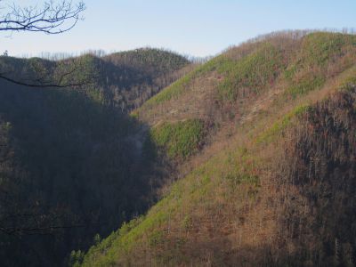 View From Longarm Ridge
'Big Rock-Top Knob' and 'Flattop' On Sampson Mountain, with huge crevice in between...
November, 2010

